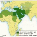 중동 티스토리