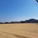 율하체육공원 잔디광장 이미지