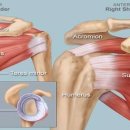 디오필라앤핏 오목교점 이미지