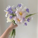 보리플라워스튜디오