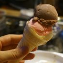 세가 소돈 주식회사 이미지