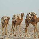 하나더 짐 이미지