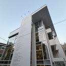 플랜트 | 합정 어반플랜트 후기 | 브런치 카페 + 영수증 리뷰하면 식물 증정 🌿