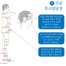 범태세운에는 죽운 사람으로 판단한다 이미지