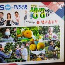 김종길농장 네이버블로그