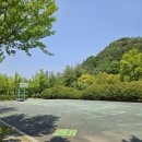 블루시안 이미지