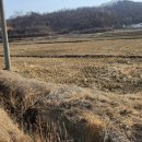 부용부동산공인중개사무소 이미지