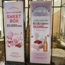 분당-256 이미지