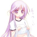 네츠