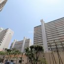 그린공인중개사사무소 이미지