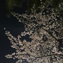 지우수산