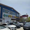 상무마늘보쌈 | 본촌동 맛집 본가상무부세마늘보쌈 점심 솔직후기