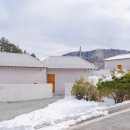 연화도감 가동 이미지