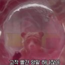 영미화김밥 - 부천시 원미구 송내대로265번길 85 | 영미화김밥