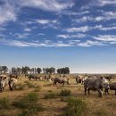 사재농장 이미지