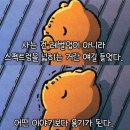 라니 이미지
