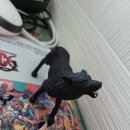 검은 늑대 이뉴 <b>롯데닷컴</b>