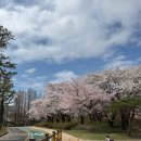 (주)송연 | [행궁동] 행궁동 송연 내돈내산 솔직후기, 줄 서서 먹는 꼬막비빔밥과 전복들기름막국수 맛은?!