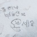 원플러스원 공인중개사사무소 이미지