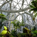 지오커머스 이미지