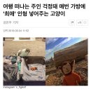 최애인형 주인가방에 넣어주는 냥 이미지