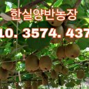 해금농장 이미지