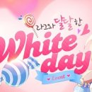 화이트스톤시스템 이미지