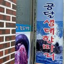 공달생태한마리 이미지