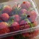 양평원조외갓집체험마을 이미지