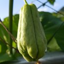 중부농장 이미지