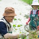 청자골토하 뉴시스