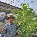 (주)레몬12 이미지