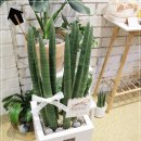 경기화분