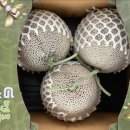 헌열농장 이미지