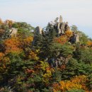 남산 이미지