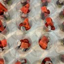 삼정자초등학교 이미지