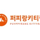 퍼피베베 이미지