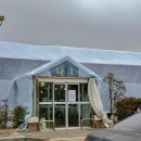 흙이랑별 | 양재꽃시장 생화도매시장 분화매장 토요일 영업시간 화분 구매 후기