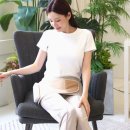 5725 | 제스파 엉덩이 골반 허리 마사지기 에어힙 83% 할인 찬스