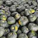 양구농장 이미지