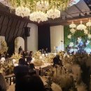 수원-지만-310 이미지