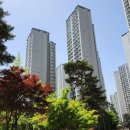 강변현대세탁소 이미지