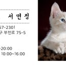 레푸스서면점 네이버블로그