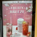 이로하서울 | 선릉 카페 추천, 당근케이크와 아인슈페너가 맛있었던 카페차이로하 강남점