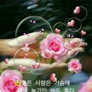 토요일 이미지