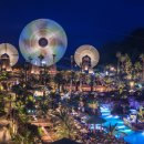 제주작은별 이미지