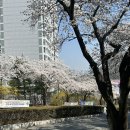 희바자회 | 4월 찍먹하고 5월~~🫠