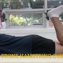 전방십자인대(Anterior Cruciate Ligament) 수술 후 3-5주 재활 운동 영상(Part1) 이미지