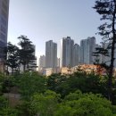 뉴코아공인중개사사무소 이미지