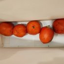 혜님농장 이미지